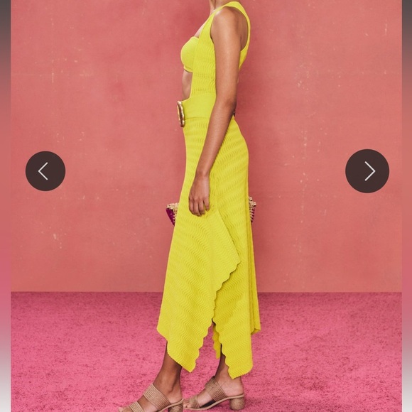 BNWT cult Gaia Natalia knit dress - Picture 10 of 10